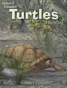 HW Nature's Wonders Turtles of the World Vol. 1