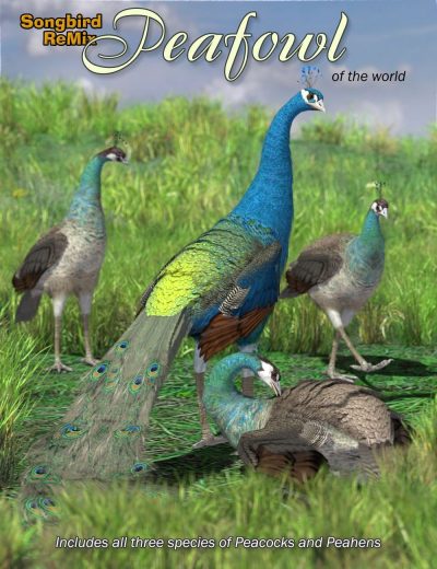 12035-sbrm-peafowl-of-the-world-main-1