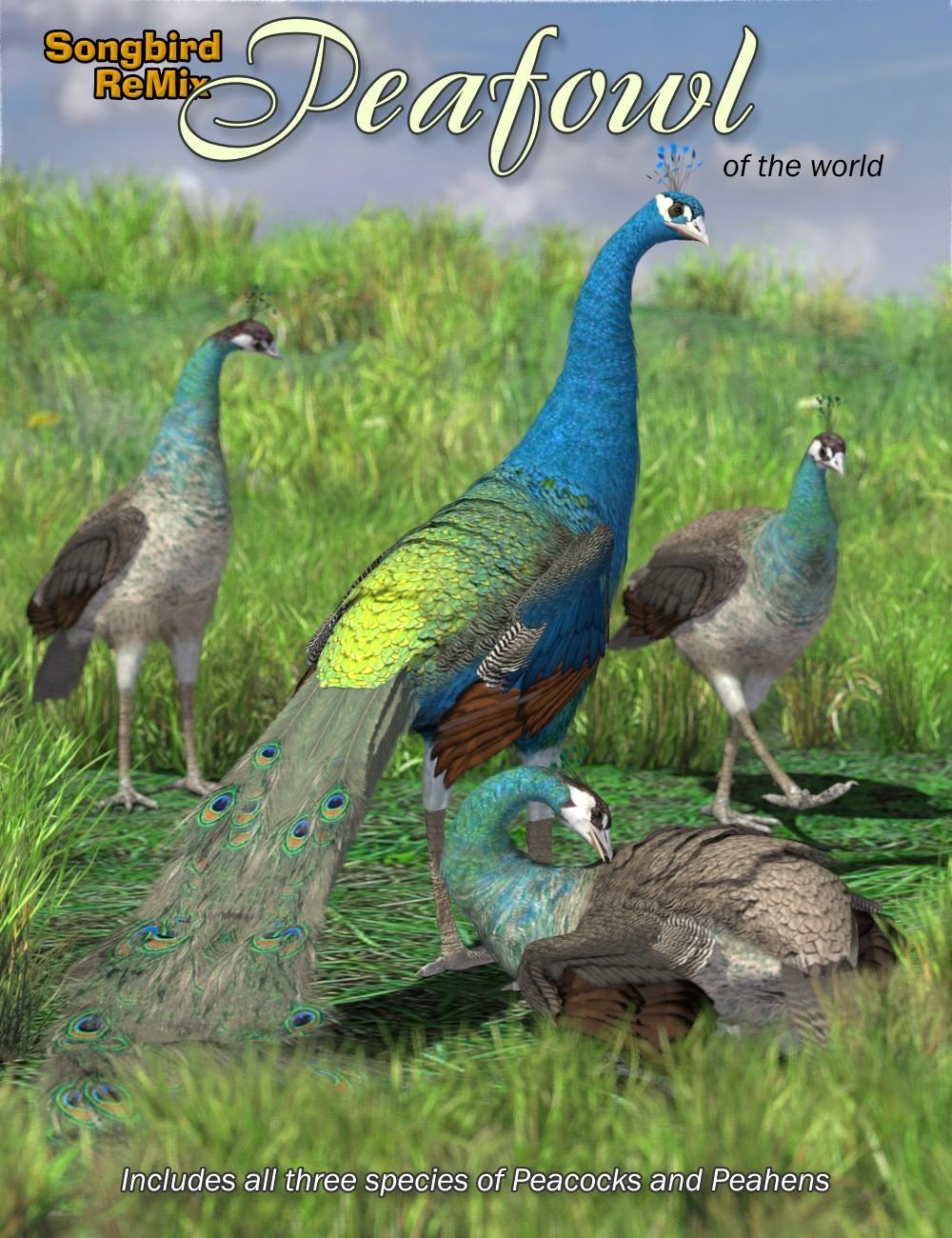 SBRM Peafowl of the World