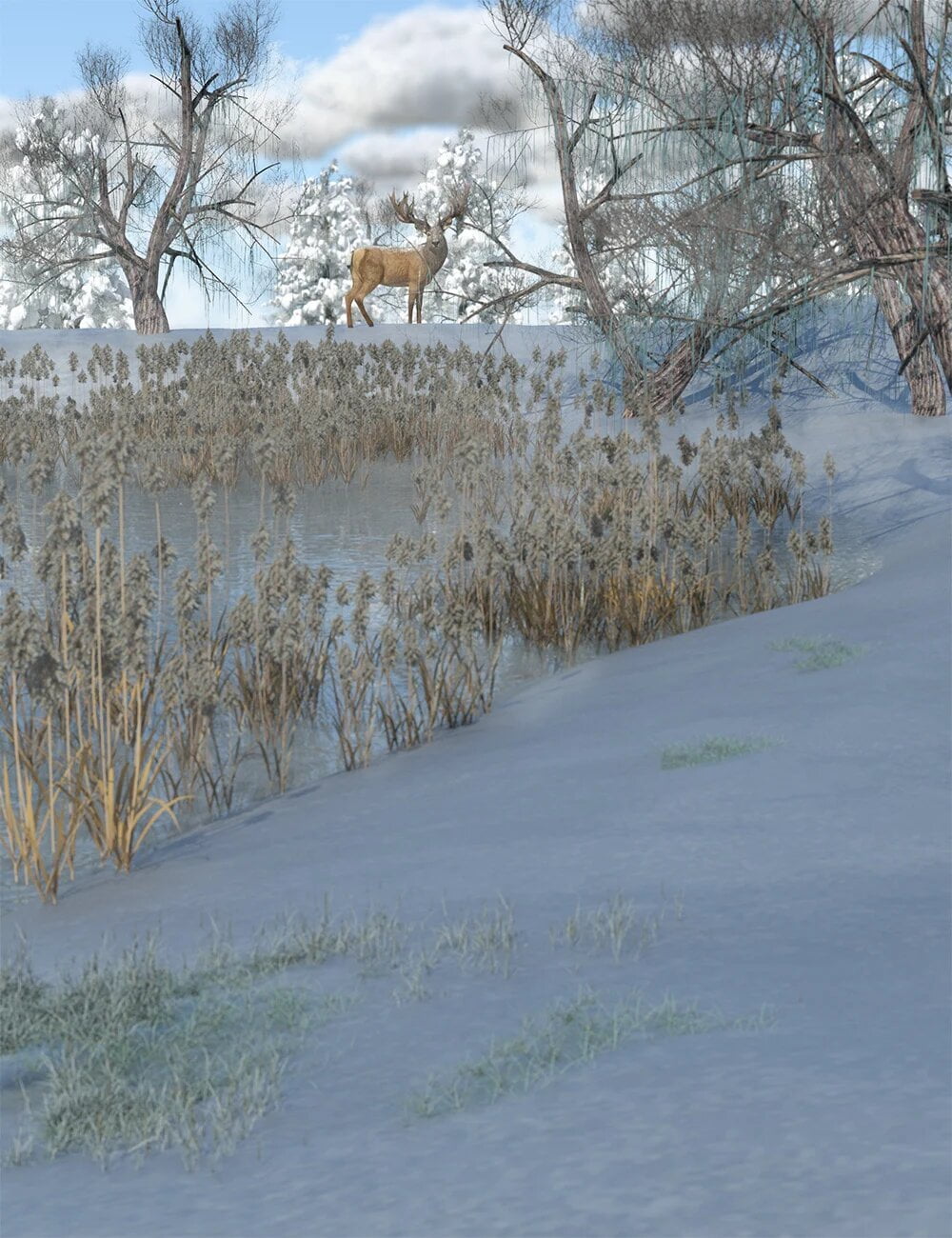 Frosty Plants - Low Res Winter Plants