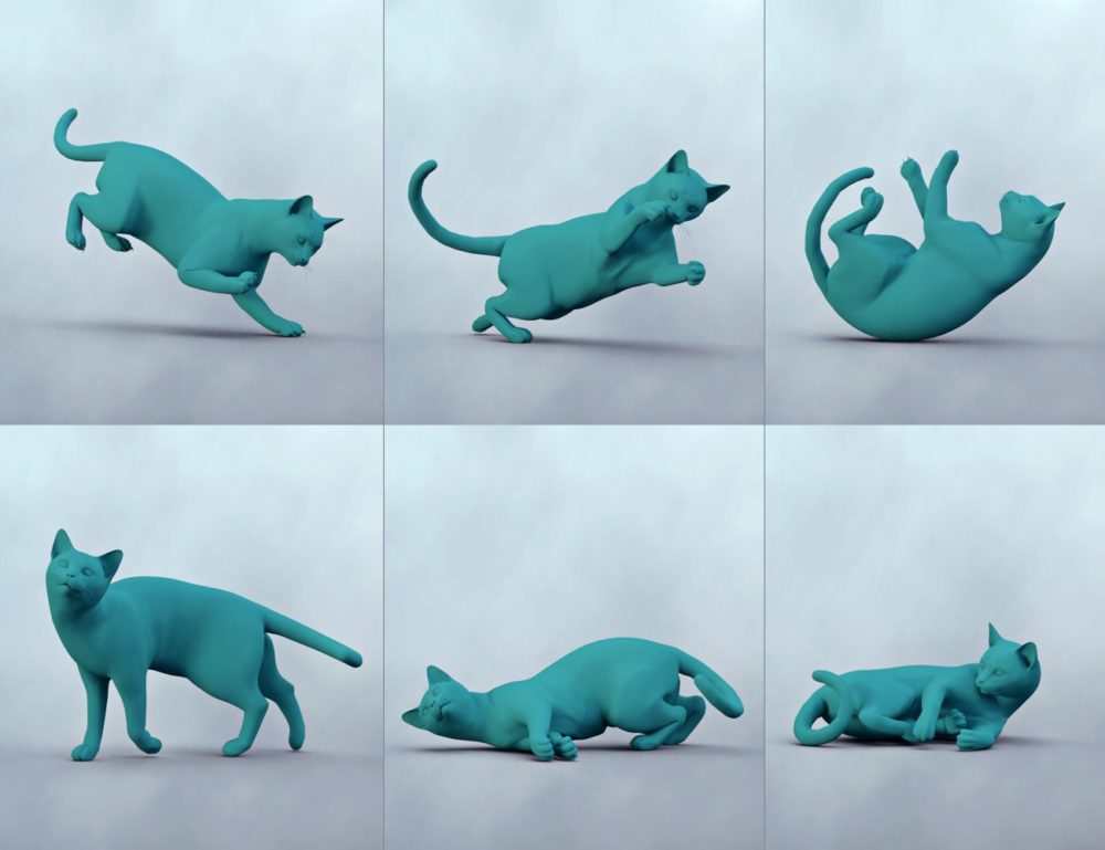 SBibb Kitten Poses and Morph