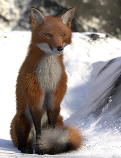 osofoxfordazdog8withdforcehair00maindaz3d-3