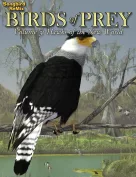 Songbird ReMix Birds of Prey Vol 3 - Hawks of the New World