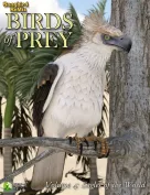 Songbird ReMix Birds of Prey Vol 4 - Eagles of the World