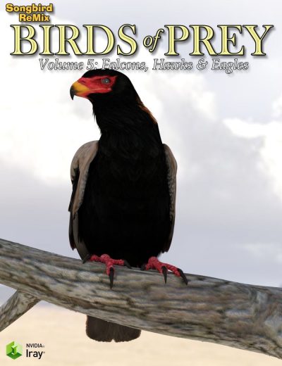 10858-songbird-remix-birds-of-prey-vol-5-falcons-hawks-eagles-main_2-2