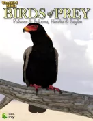 Songbird ReMix Birds of Prey Vol 5 - Falcons, Hawks & Eagles