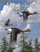 Songbird ReMix Waterfowl Vol 5 - Geese