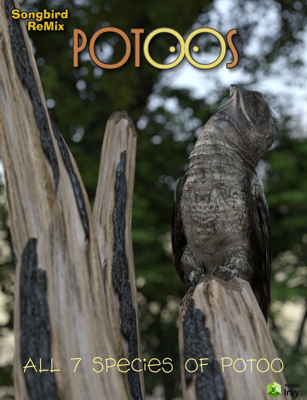 Songbird Remix Potoos