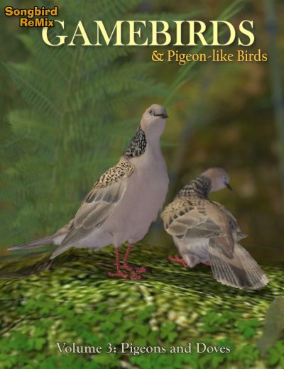 Full147589_eafe96d416952663d4a7a7b17cea8dad-2