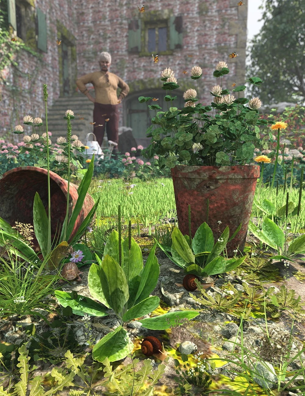 The (Im)Perfect Lawn II- Essential Grassland Weeds