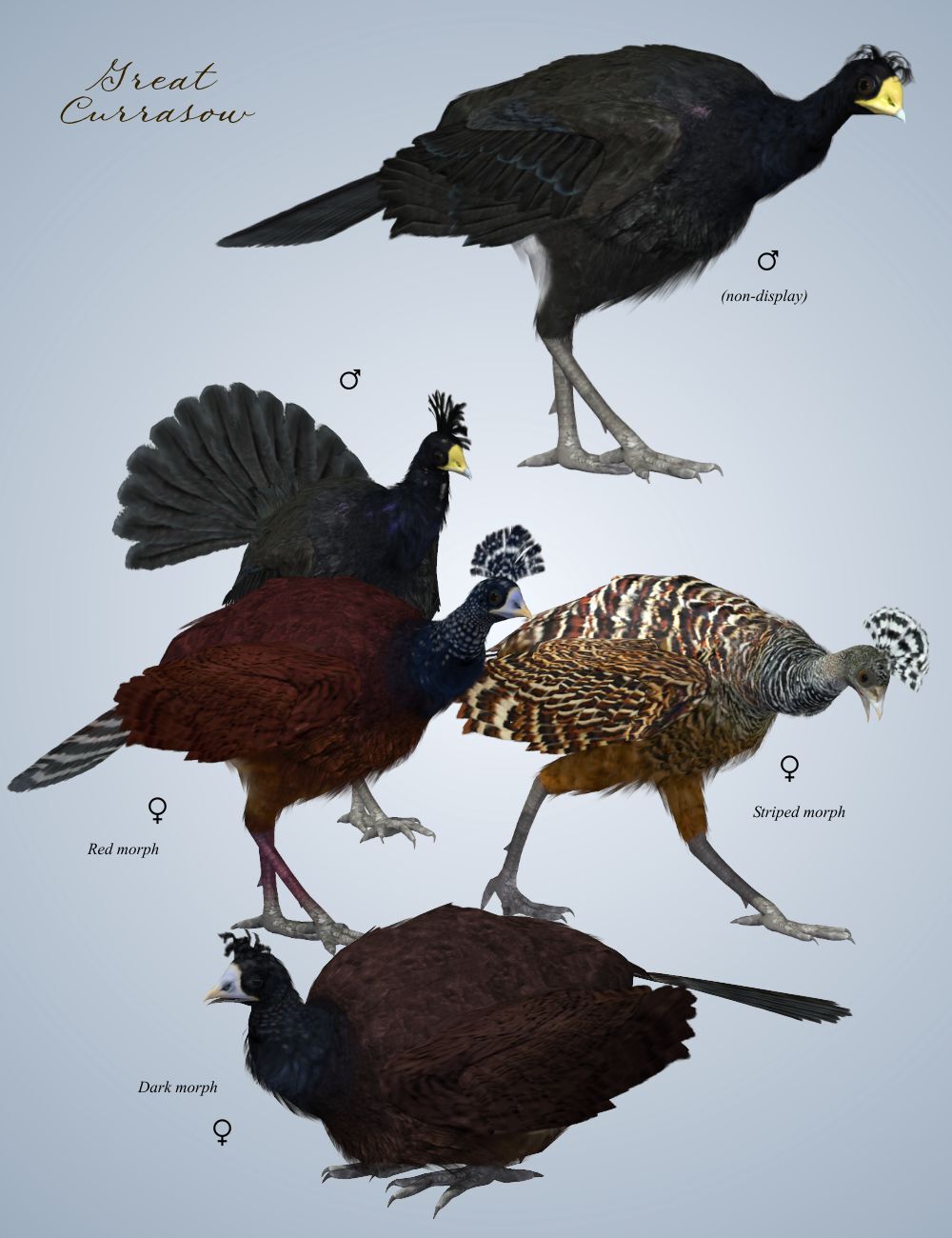 Songbird ReMix Gamebirds Vol 2