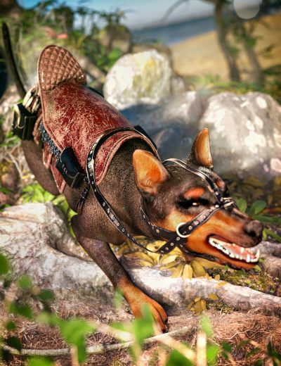 SaddleforDazDog8_Main-3