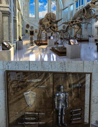 fgmuseum00maindaz3d-2