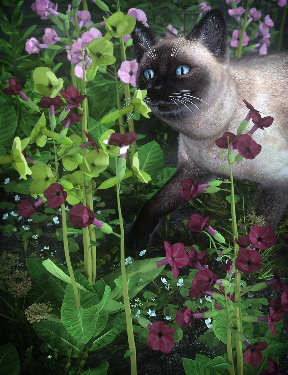 Garden Flowers - Low Res Nicotiana Plants