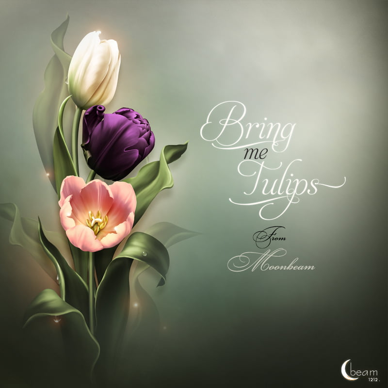 Moonbeam’s Bring me Tulips