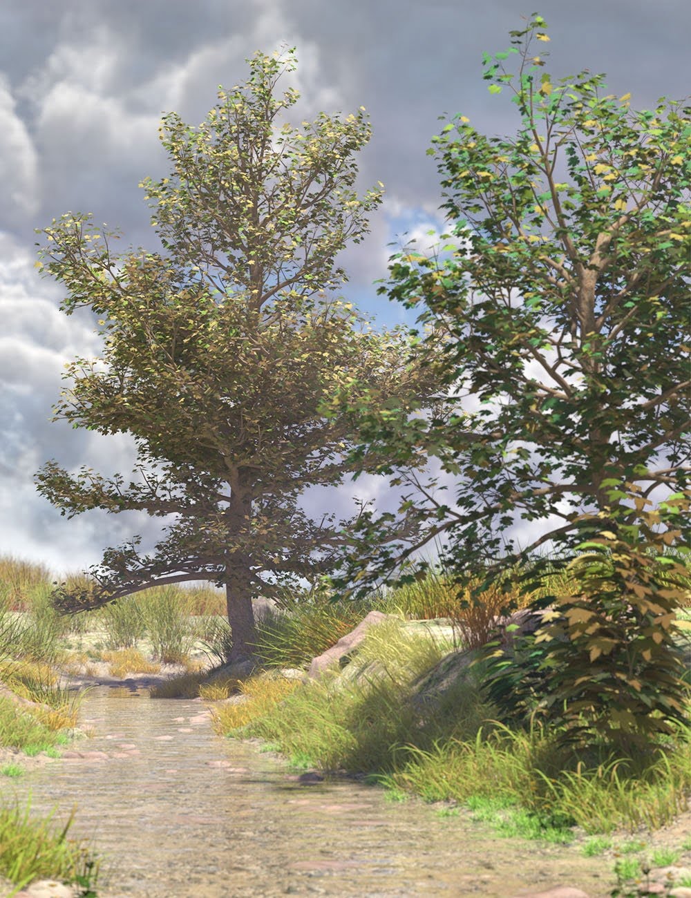 The Greenwood Vol 1 Sycamore Trees