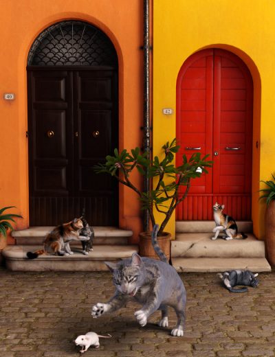 casualcatfordazhousecat00maindaz3d-3