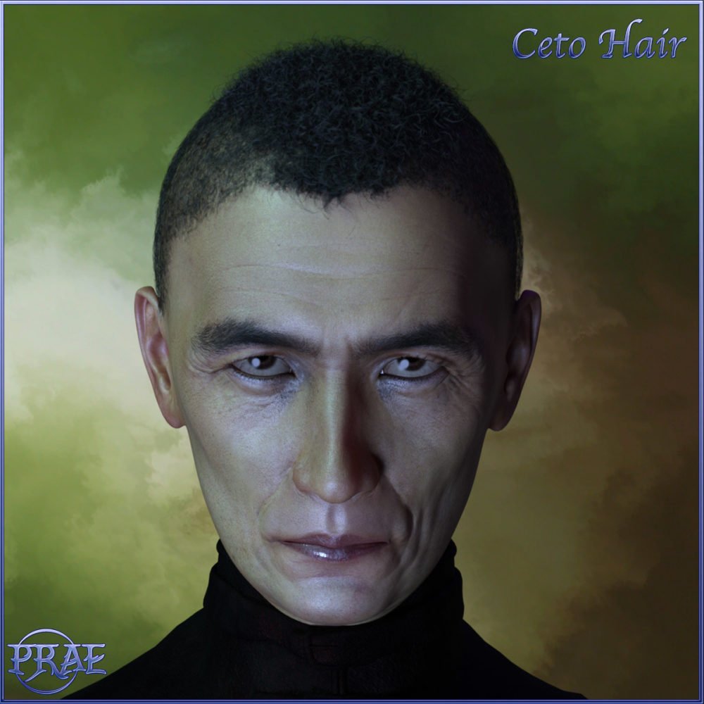 Prae-Ceto Hair For G8 Male and Female Daz