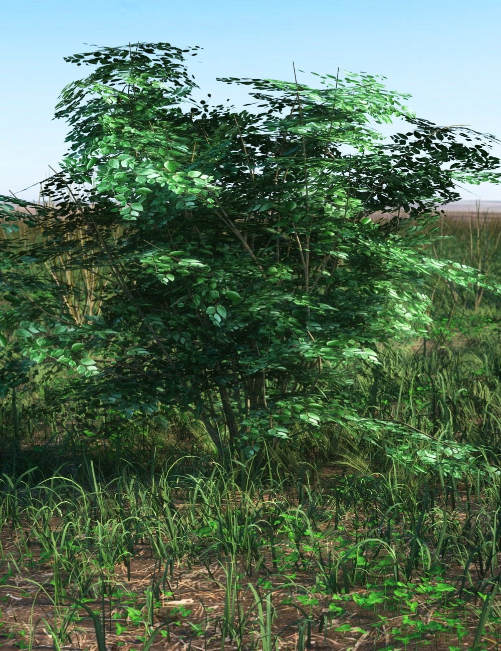 Nature - Bushes Pack 1