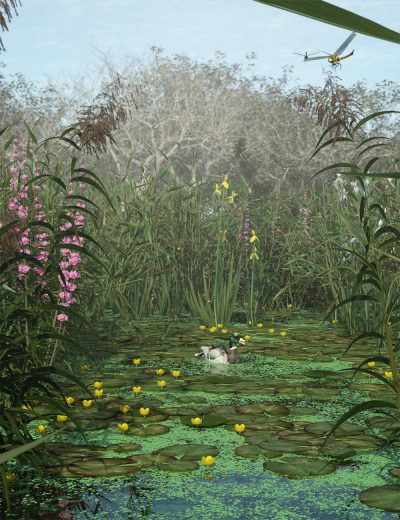 Wetlands-Low-Res-Plants-for-Vol-2-Flowering-Plants-1