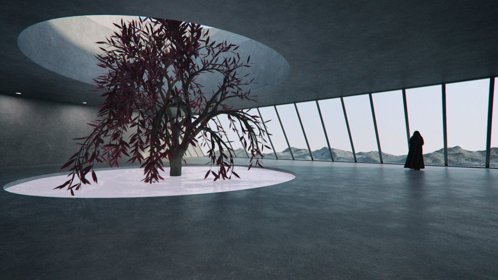 Window to the New World