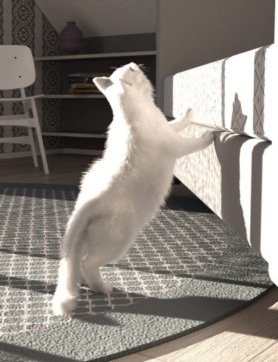 kittycatposesfordazhousecat00maindaz3d-2