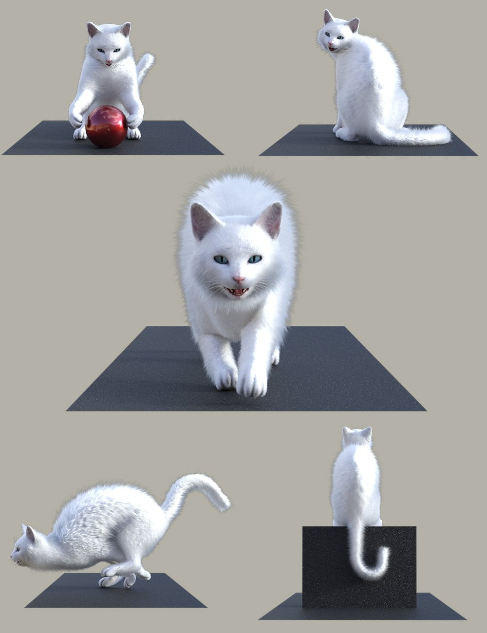 Kitty Cat Poses for Daz House Cat