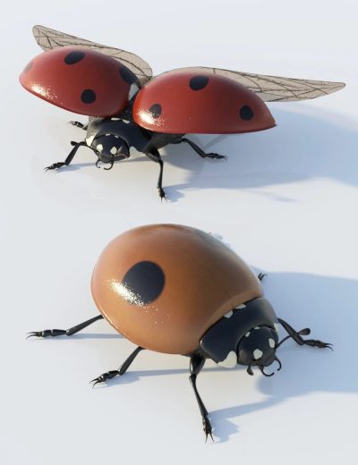 ladybug00maindaz3d-1