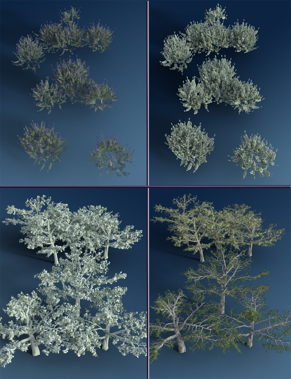 Mediterranean Trees and Shrubs - Low Res Plants