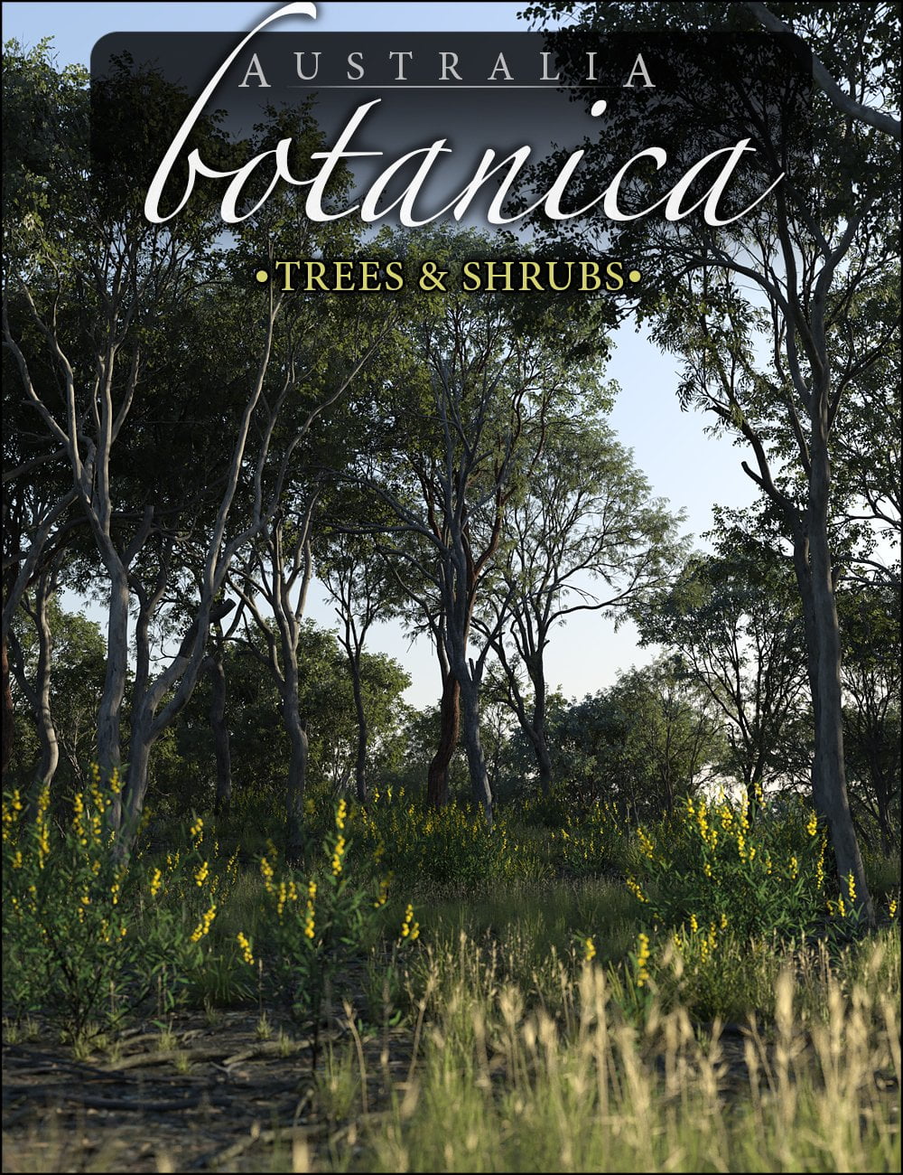 Australia Botanica – Trees and Shrubs