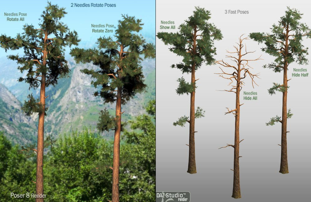 Forest Tree - Tall Pine