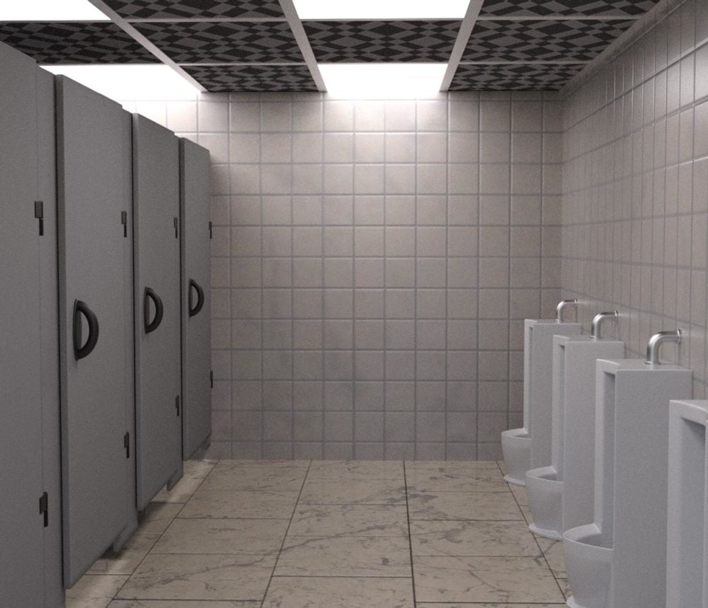 Simple Public Toilet And Pose