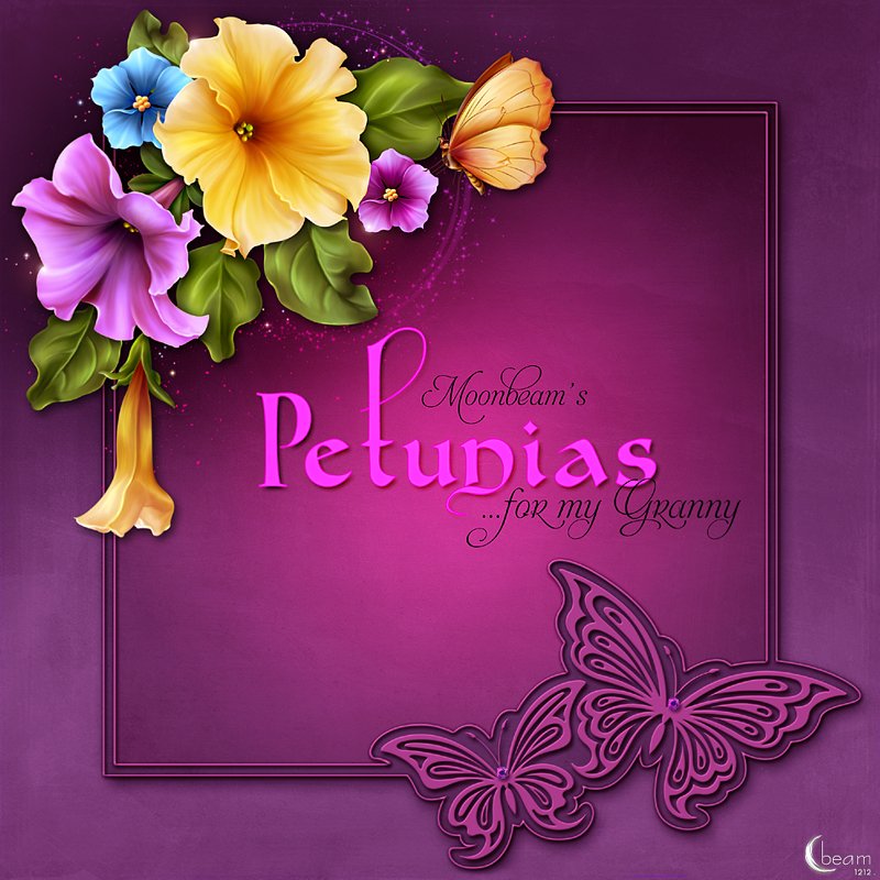 Moonbeam's Petunias...for my Granny