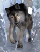 Alpha Poses for Dire Wolf