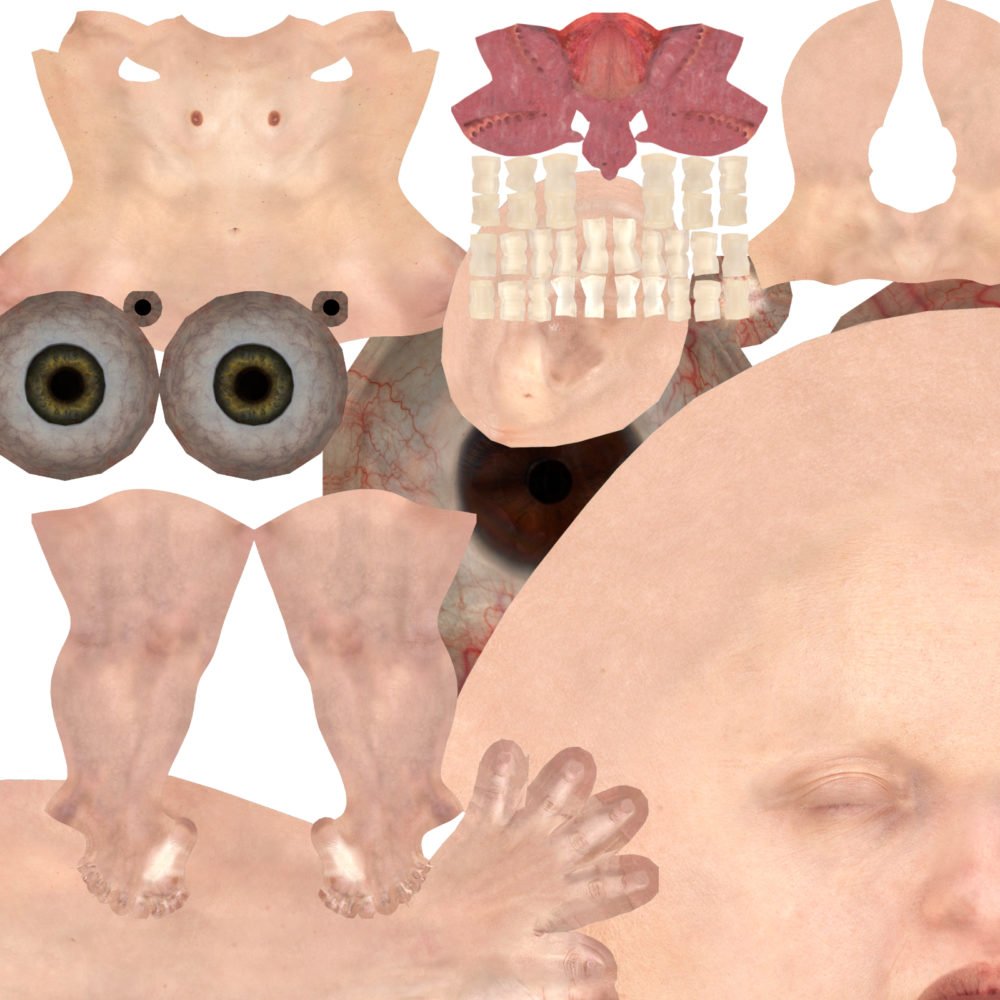 Light Skin Texture G8.1F Merchant Resource