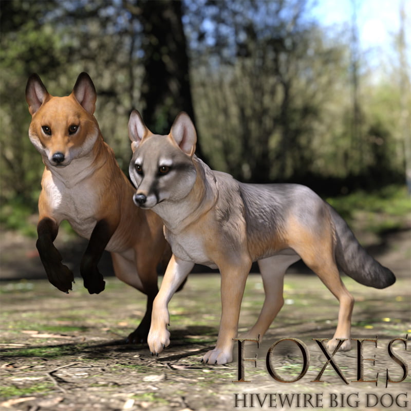 Foxes for the HiveWire Big Dog