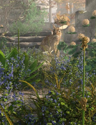 Tiny-Plants-III-Tiny-Flowers-3