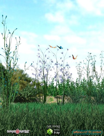 Variety_of_Beautiful_Plants_02-2