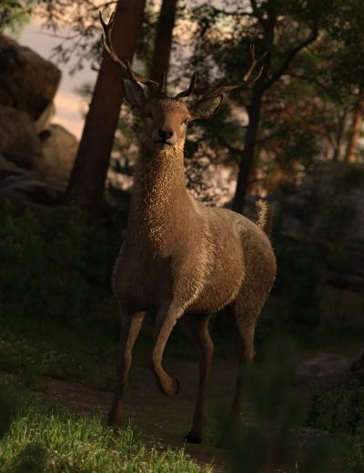 buckmoonposesfortane00maindaz3d-3