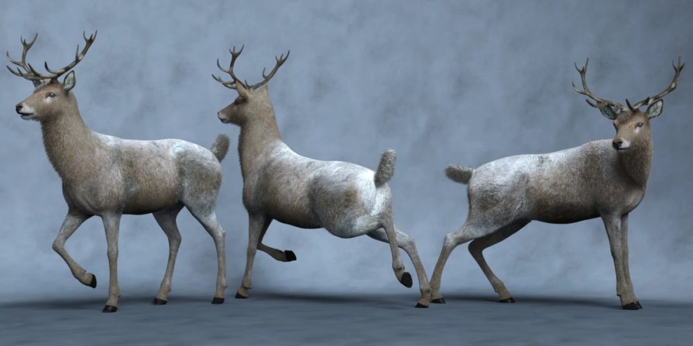 Buck Moon Poses for Tane