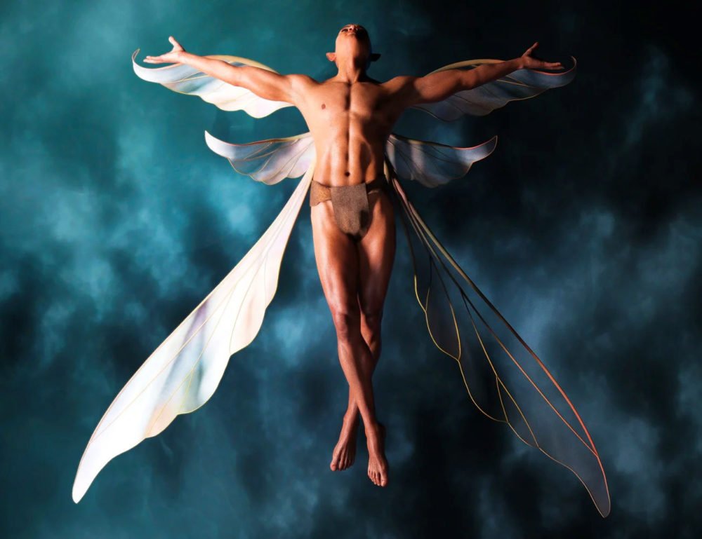 Contour Wings Lore for Genesis to Genesis 8.1