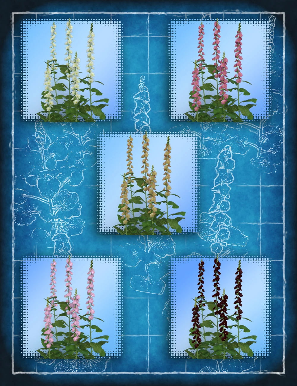 Cottage Garden Flowers - Hollyhocks