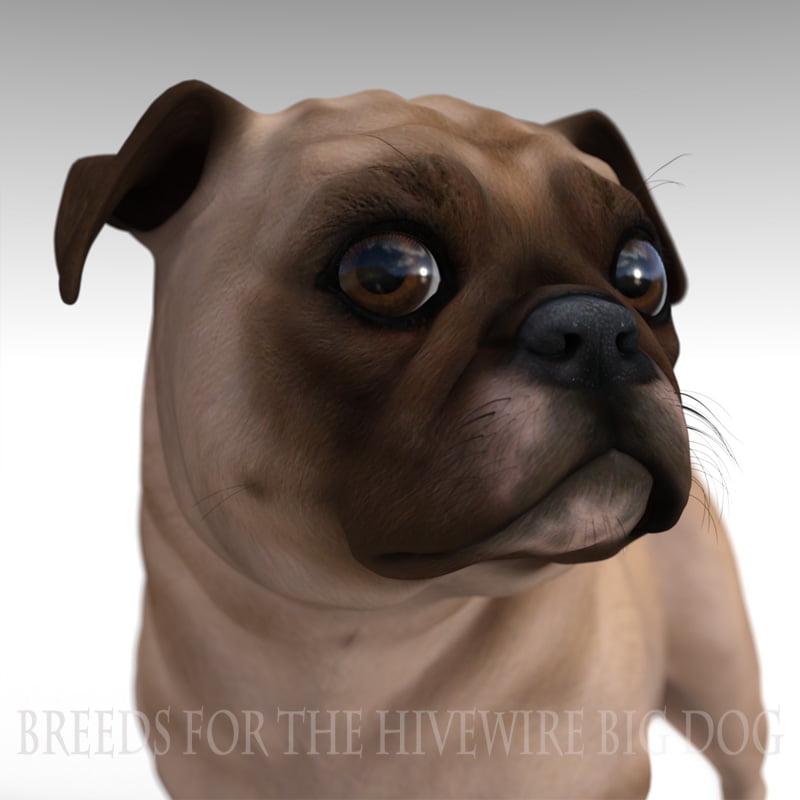 Breeds for the HW Dog – Chug