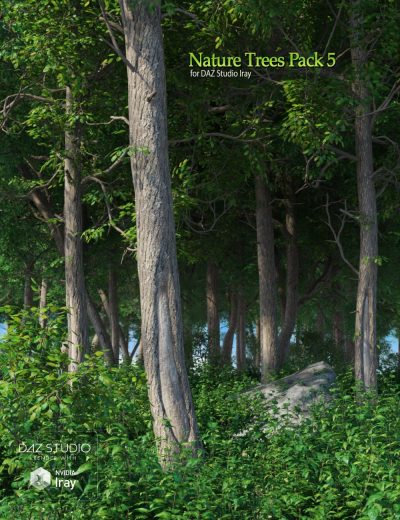 nature-trees-pack-5-00-main-daz3d-2