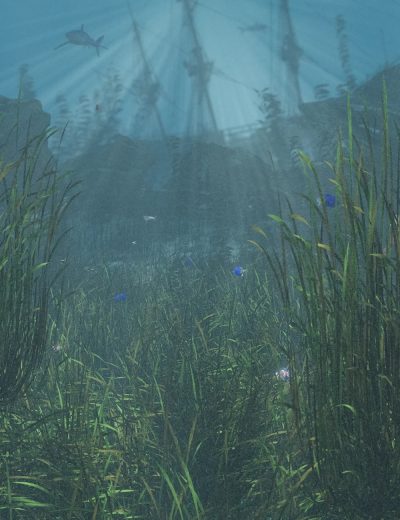 Just-Beachy-Seagrass-Underwater-Meadows-3