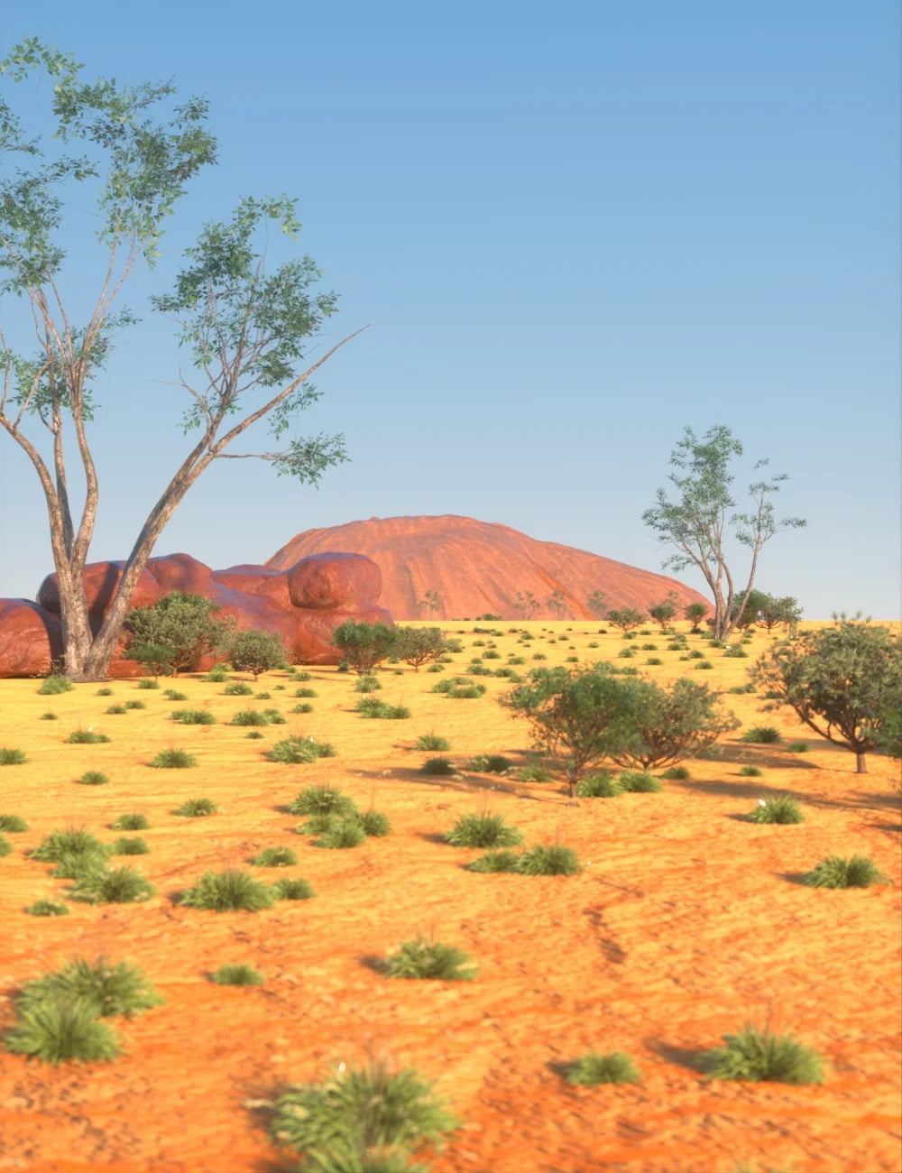 Australian Outback Environment