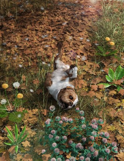 Fallen-Leaves-Scatters-and-Drifts-for-Daz-Studio