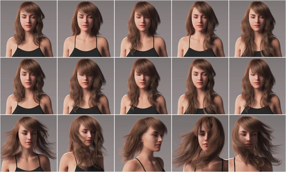 2021-17 Hair for Genesis 8 and 8.1 Females