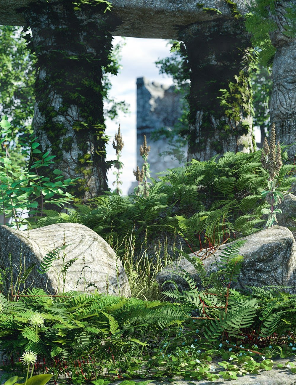 Creeping Ferns - Polypody