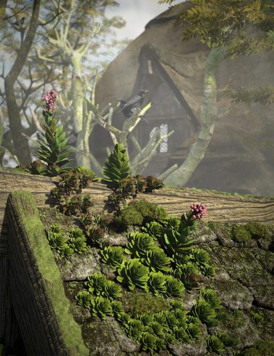 tinyplantshouseleeks00maindaz3d-2